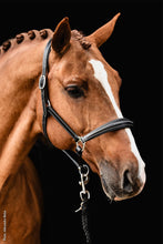 Load image into Gallery viewer, SP Frisco Halter F
