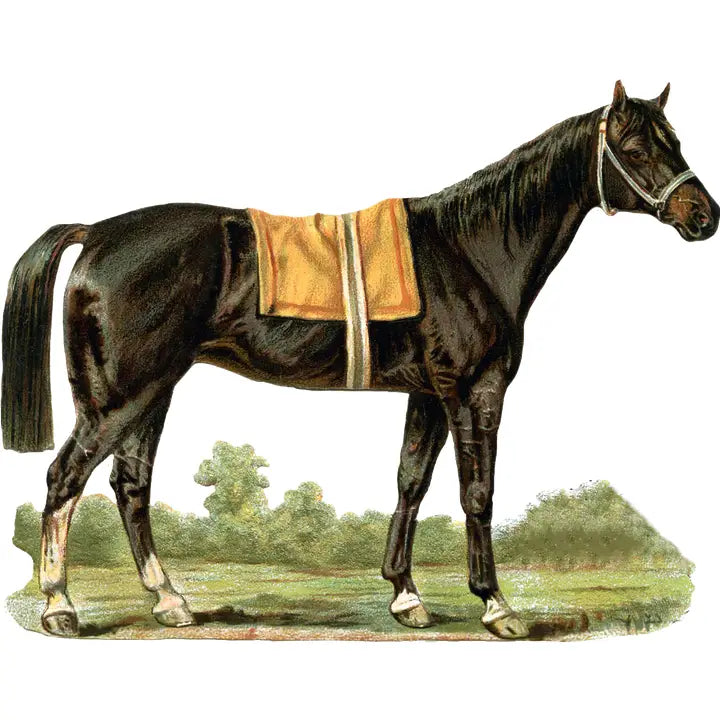 Out to Pasture hand towel